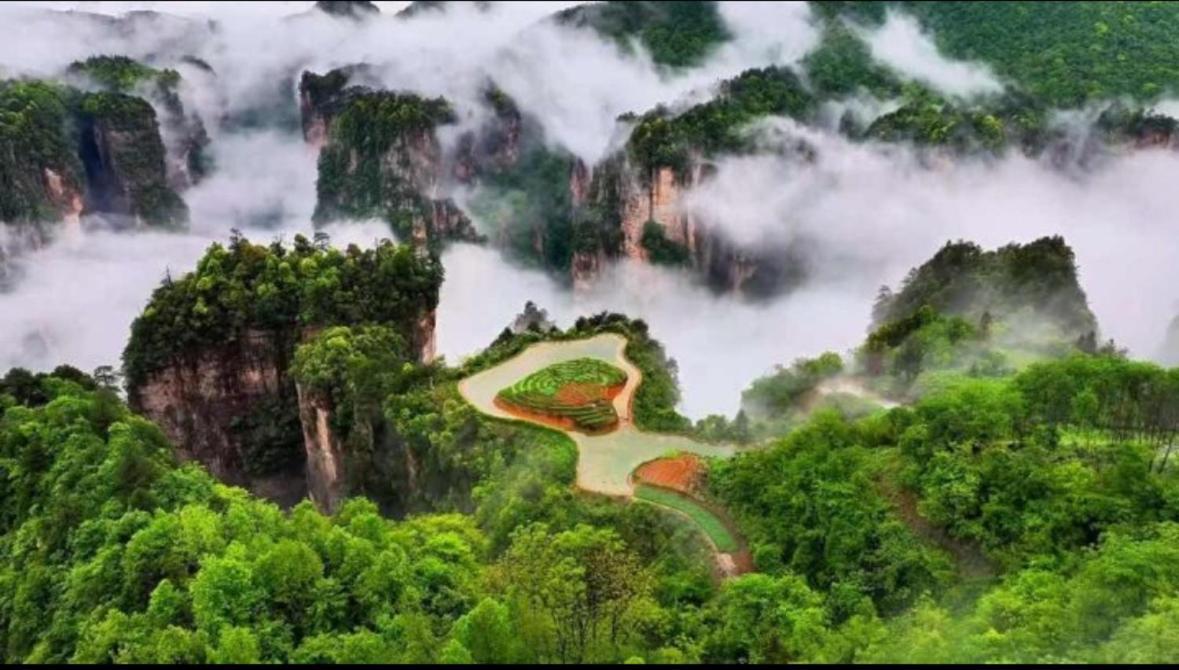 Tongfu Inn 장가계 외부 사진